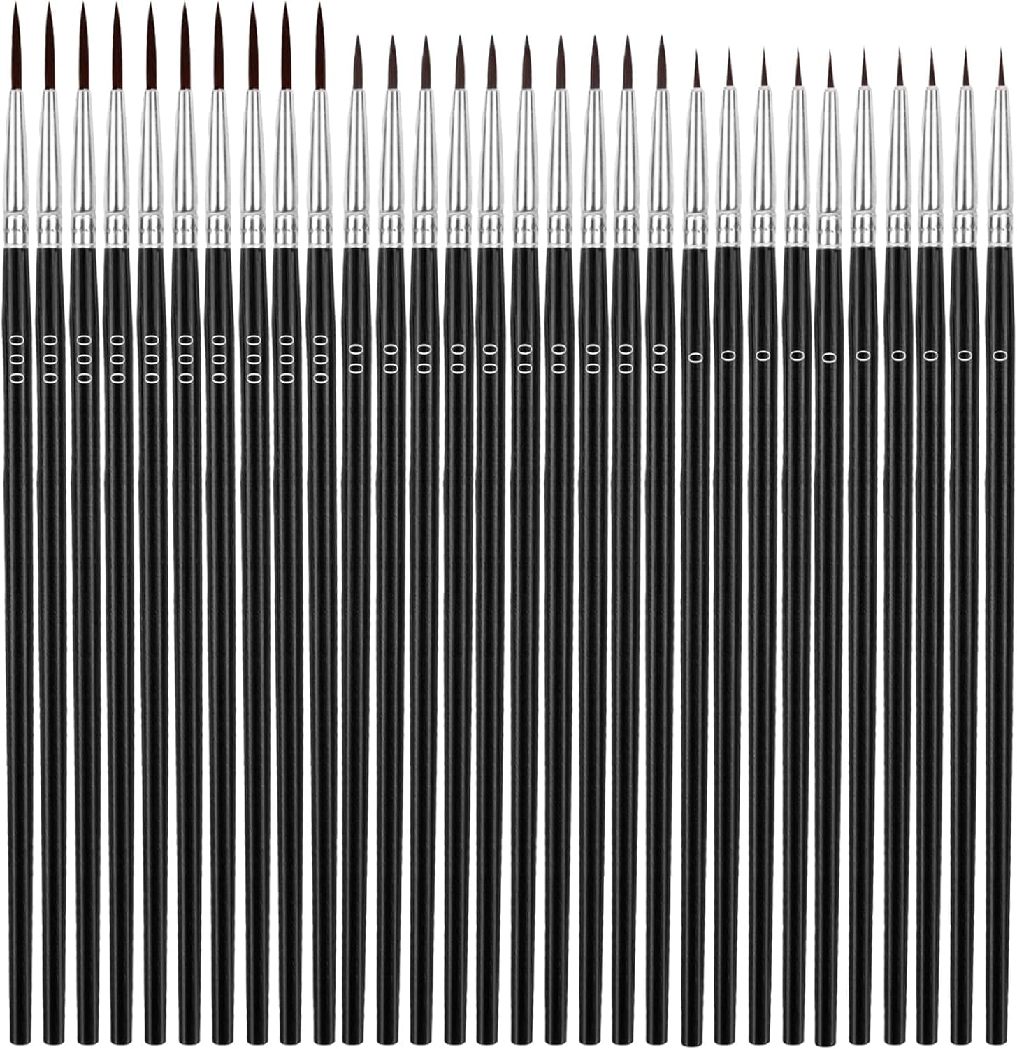 30 Pcs Fine Detail Paint Brush - مراجعة Detailing Brush Set وسعره