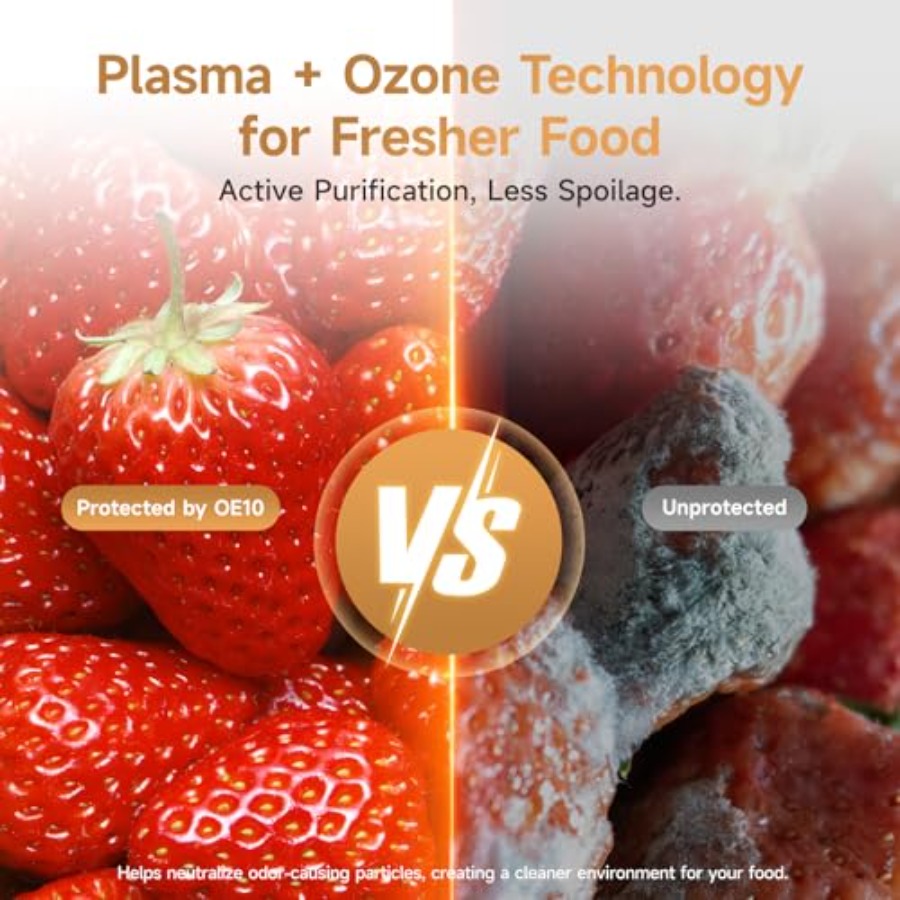 Plasma Fridge Deodorizer Ozone - مراجعة Odor Eliminator Car وسعره